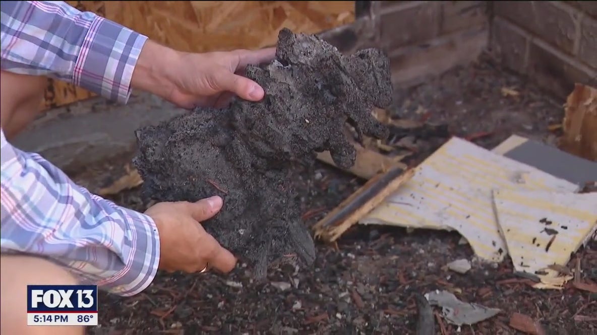 Family believes a vase sparked a fire that damaged their home